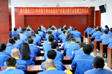 开拓创新 铿锵前行|雅博app官方入口召开2024年中层干部任命及生产经营计划下达管理工作会议