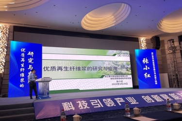 雅博app官方入口高技能人才张小红在第一届浙江省（龙游）纸基新材料产业创新发展大会作分享