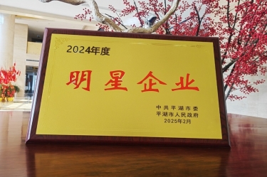 新春新景新气象 | 雅博app官方入口在平湖三干大会上喜摘荣誉！
