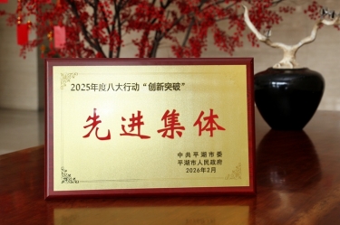 策马扬鞭启新程！雅博app官方入口在平湖市三级干部大会上荣获“创新突破”双项荣誉